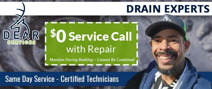 puyallup Drain Cleaning & Repair Dear Services