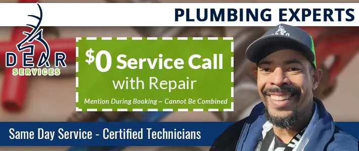 sammamish Plumbing  Service Dear Services